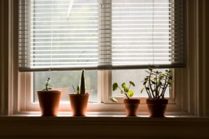 window-sill-with-interior-plants-brown-pots-inside-room-min